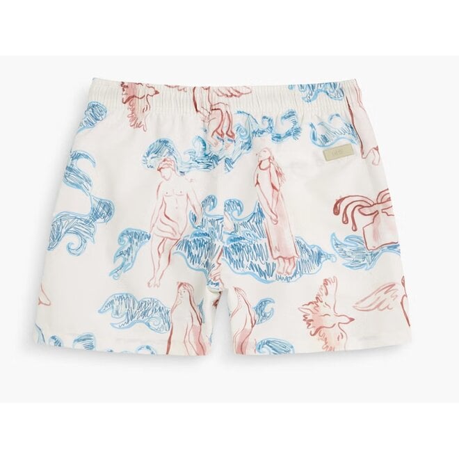 Lorien Swim Shorts in White/Blue/Red