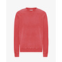 Classic Organic Crew in Faded Red
