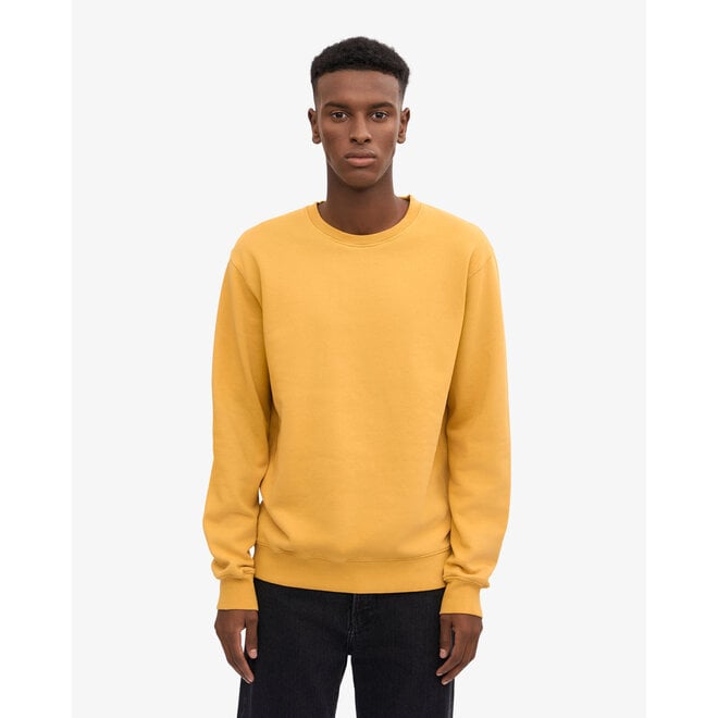 Classic Organic Crew in Burned Yellow