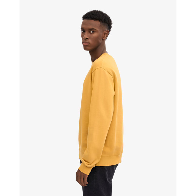Classic Organic Crew in Burned Yellow