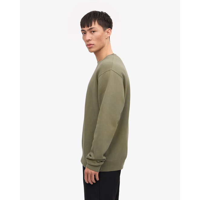 Classic Organic Crew in Dusty Olive