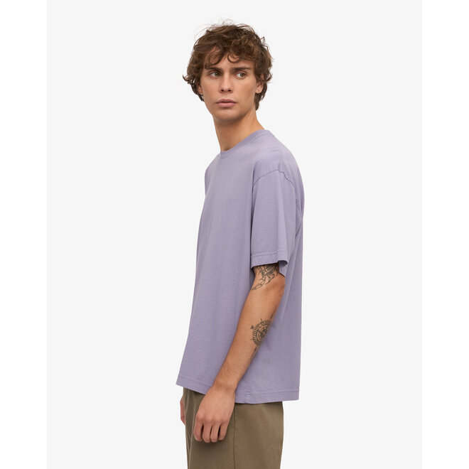 Oversized Organic T-Shirt in Purple Jade