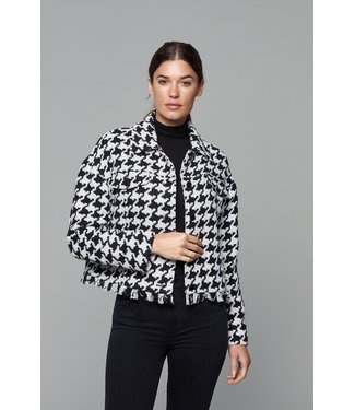 dolce cabo jacket