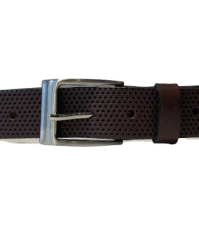 Armoir Perforated Brown Belt