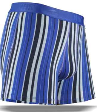 nth Blue Stripe Boxer Brief