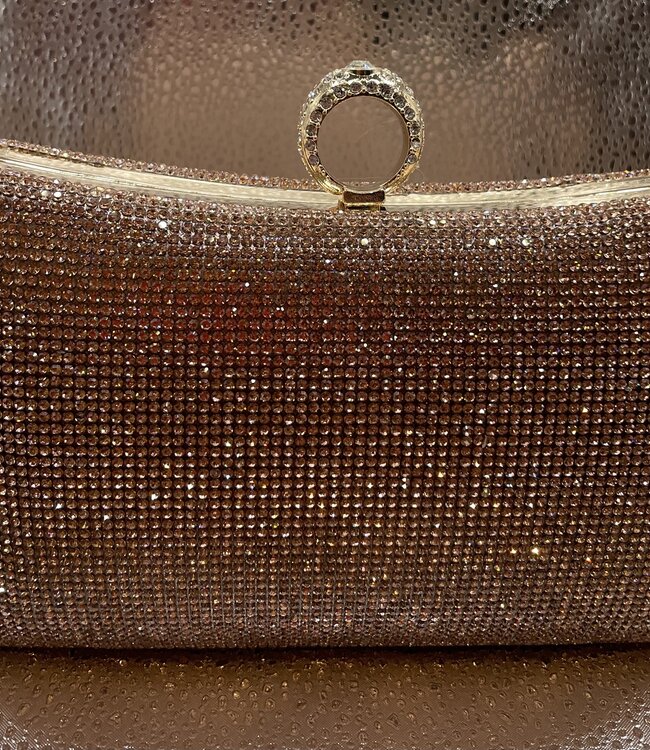 Rose Crystal Ring Closure Bag