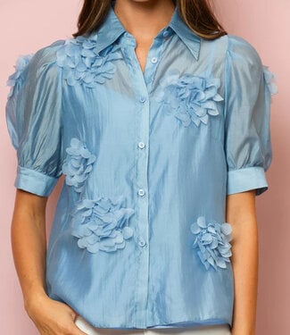 Jessie Liu Light Blue Blouse w/Applique