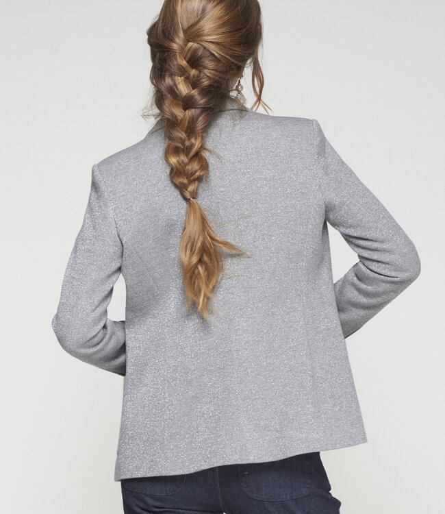 Vilagallo Gadea Grey Shimmer Blazer