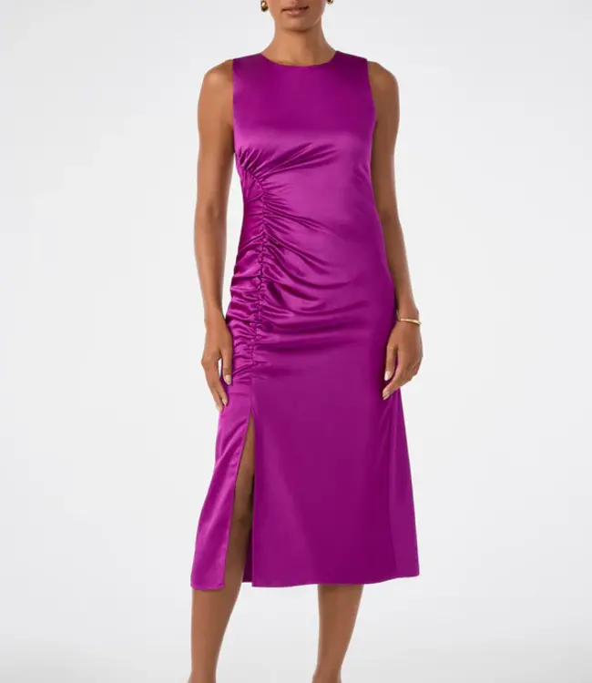 Trina Turk Chestnut Geranium Dress