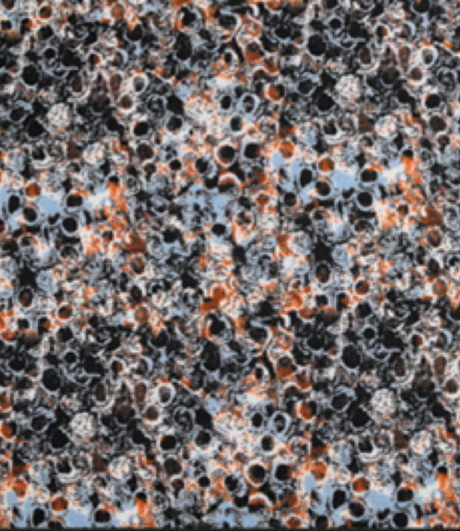 F/X Fusion Abstract Black Multi Print Button Down