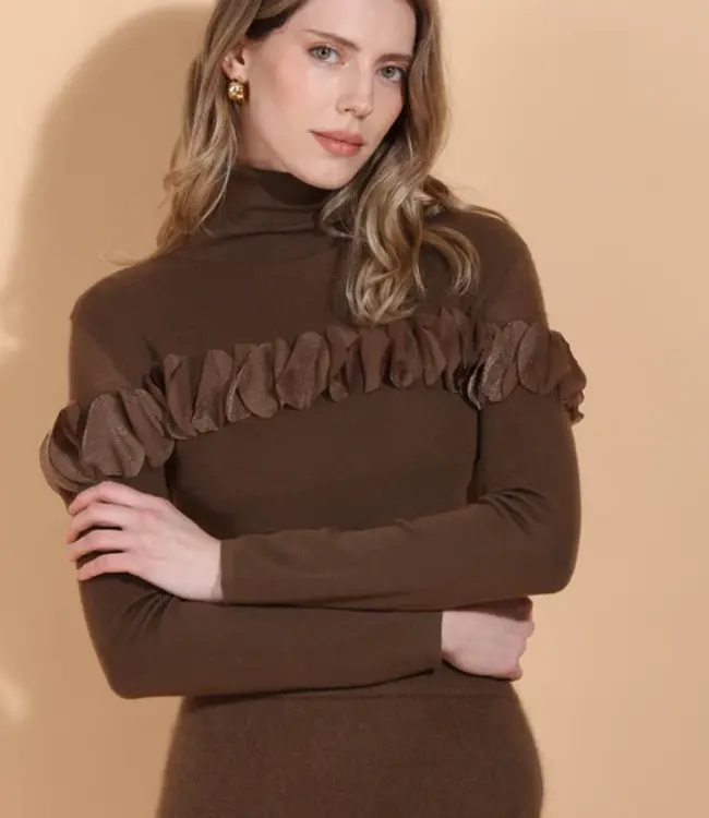 Jessie Liu Khaki Brown Turtle Neck w/Applique'