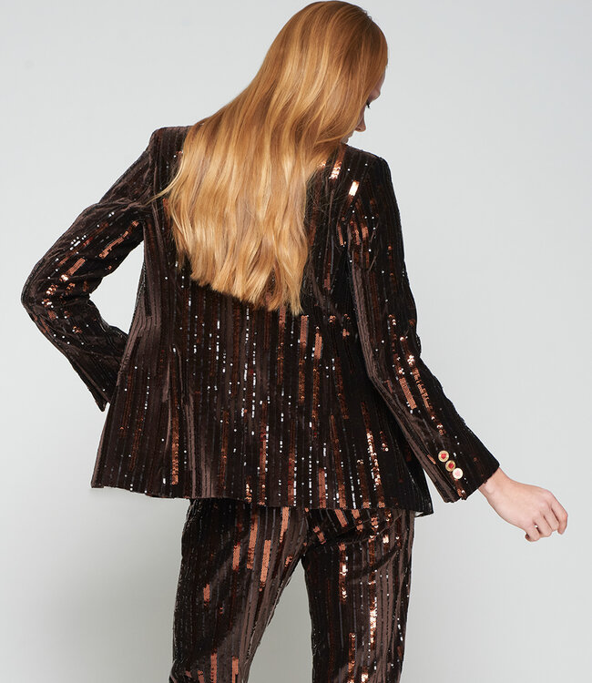 Vilagallo Brown Vertical Sequins Blazer