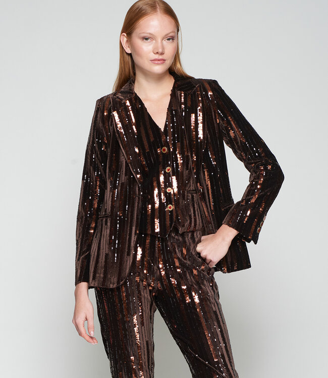 Vilagallo Brown Vertical Sequins Blazer