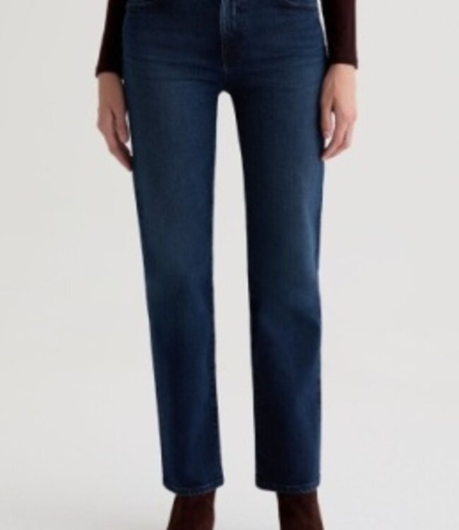 Adriano Goldschmied Brinley High Rise Straight Denim