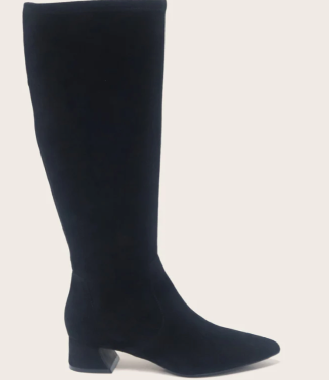 Gentle Souls Galloway Black Suede Stretch Boot