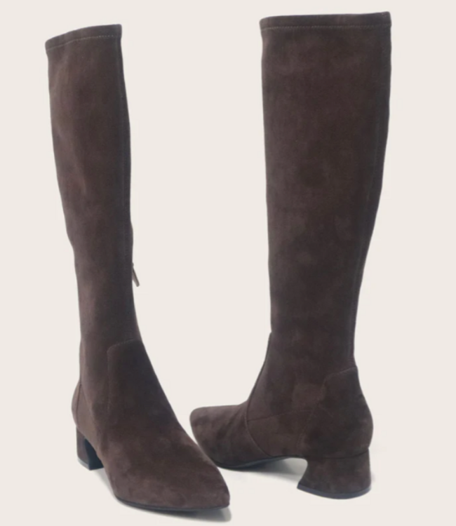 Gentle Souls Galloway Choc Suede Stretch Boot