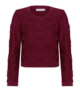 Paola Bernardi Cherry Camelia Jacket Small
