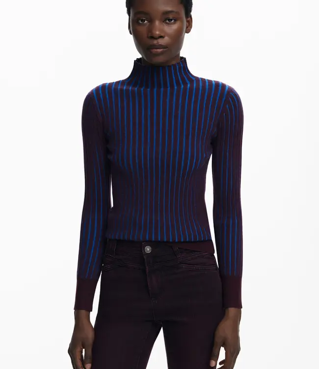 Desigual Plum/Blue Ribbed Sweater