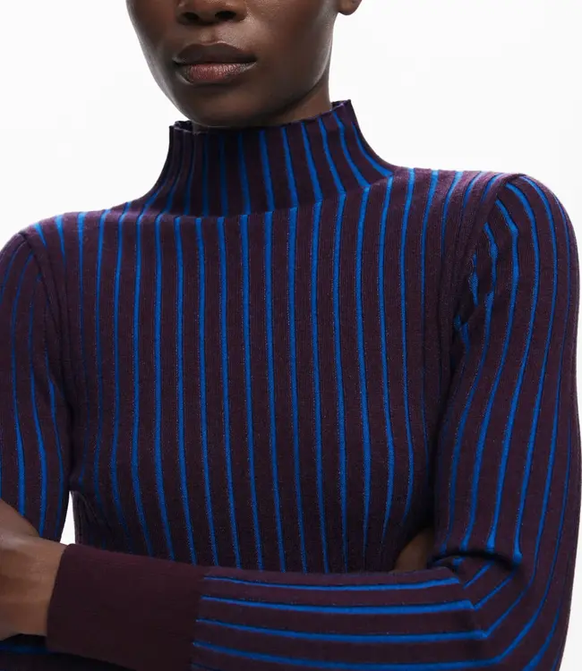 Desigual Plum/Blue Ribbed Sweater