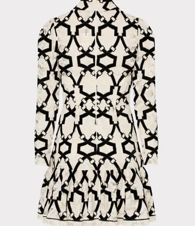 Milly Velvet Flock Lace L/S Dress Sz 2