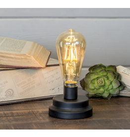 VIP Home & Garden Edison Light