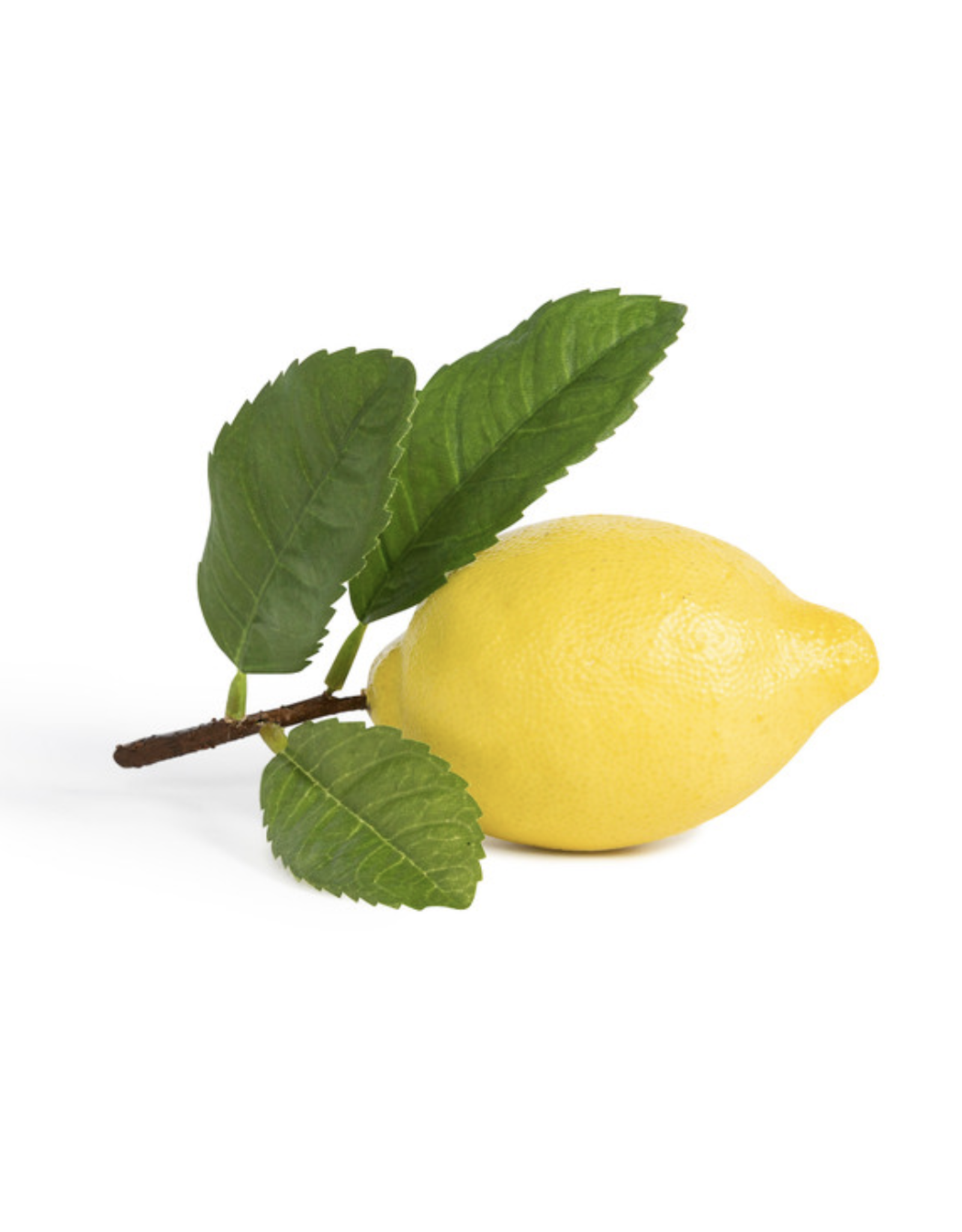 Park Hill Lemon with Leaf