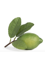 Park Hill Lime with Leaf