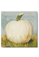 Sullivans White Pumpkin Artwork 5x5