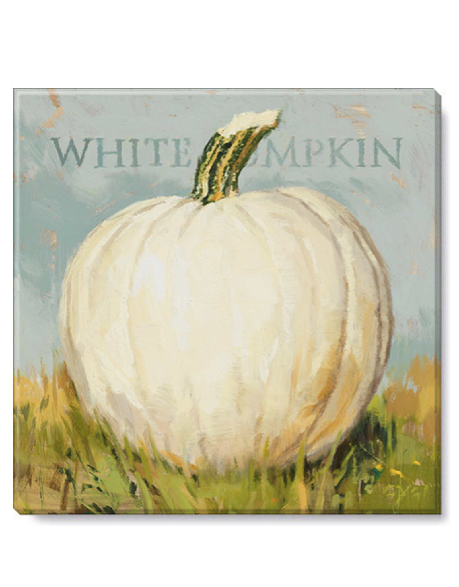 Sullivans White Pumpkin Artwork 5x5