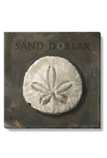Sullivans Sand Dollar Wall Art 5" x 5"