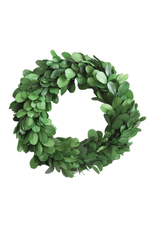 Creative Co-Op 6" Round Preserved Boxwood Wreath