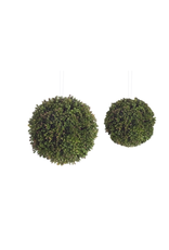 Melrose Sedum Orb 5"