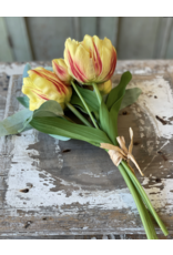 Lancaster & Vintage Grand Opening Tulip 12"