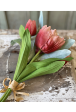 Lancaster & Vintage Grand Opening Tulip 12"