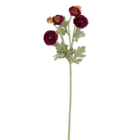 K & K Purple Ranunculus Spray