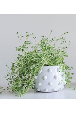 Creative Co-Op Terra Cotta Planter with Raised Dots