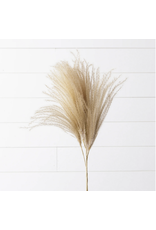 audreys Dried Pampas Branch, Cream