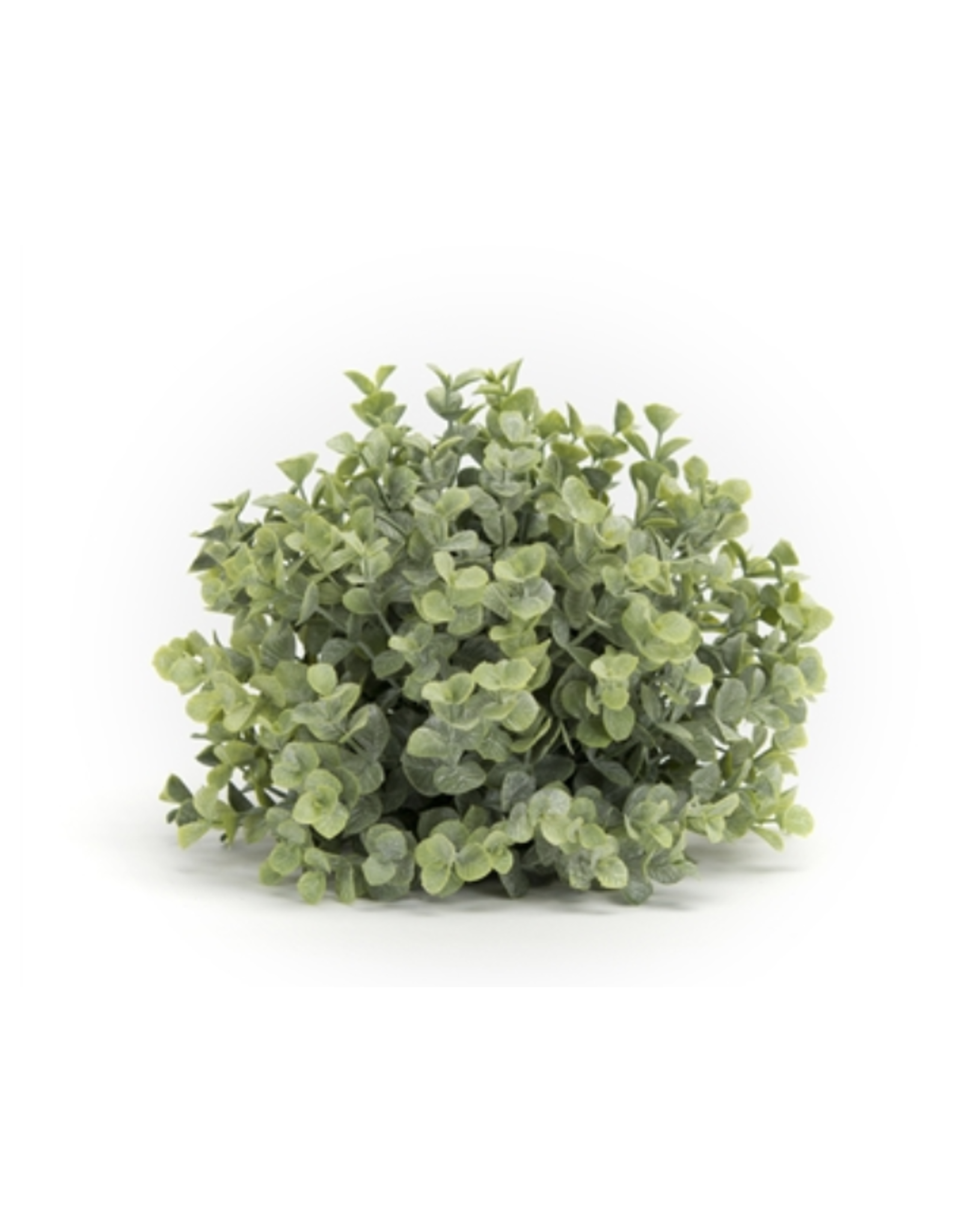 Melrose Boxwood Half Orb