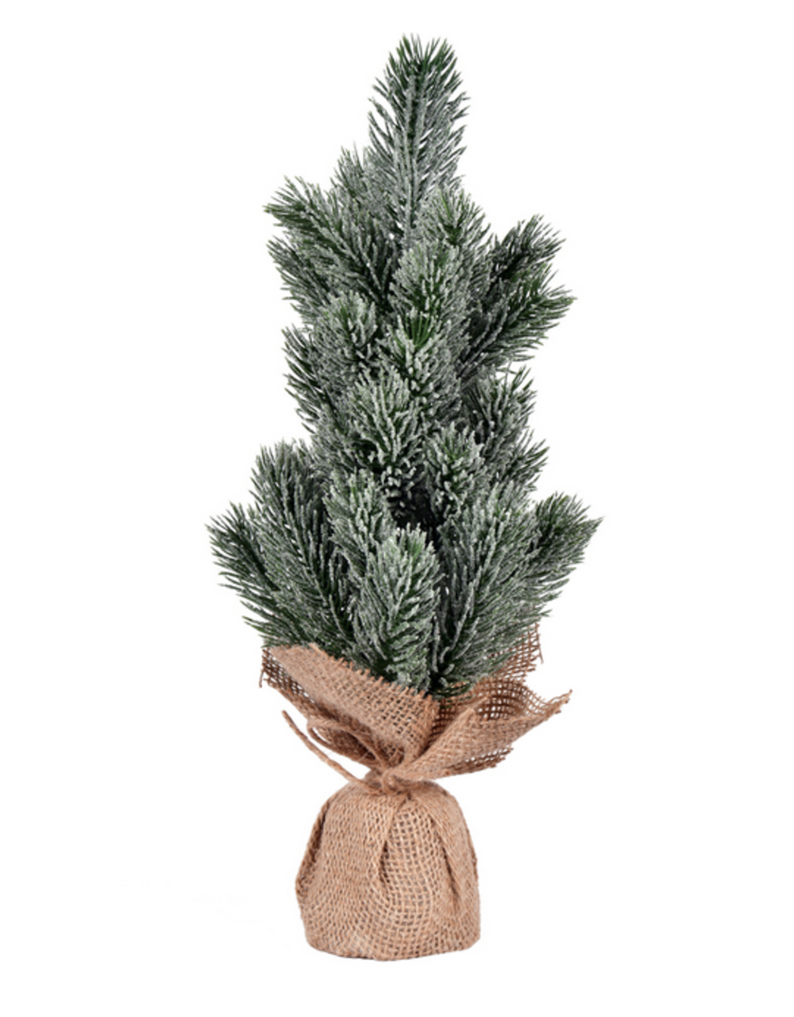 Vickerman 15" Frost Spruce Sapling Tree Burlap