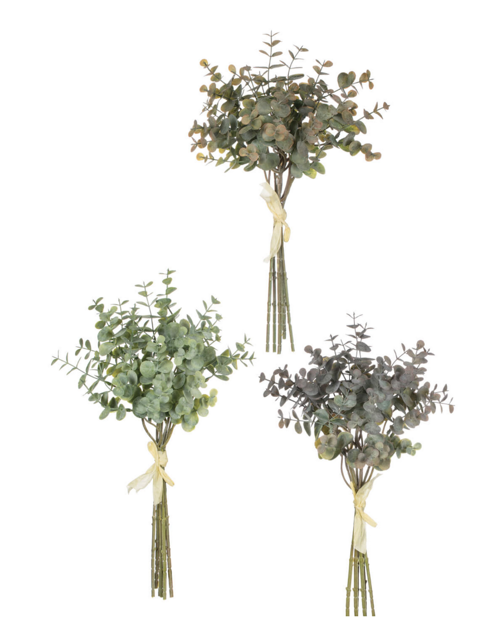 Eucalyptus Bundles The Good Tree