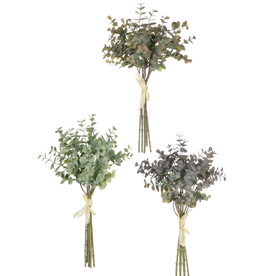 Sullivans Eucalyptus Bundles