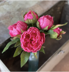 Lancaster & Vintage Peony Bundle 11"