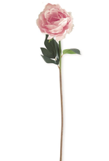 K & K Real Touch Peony Stem