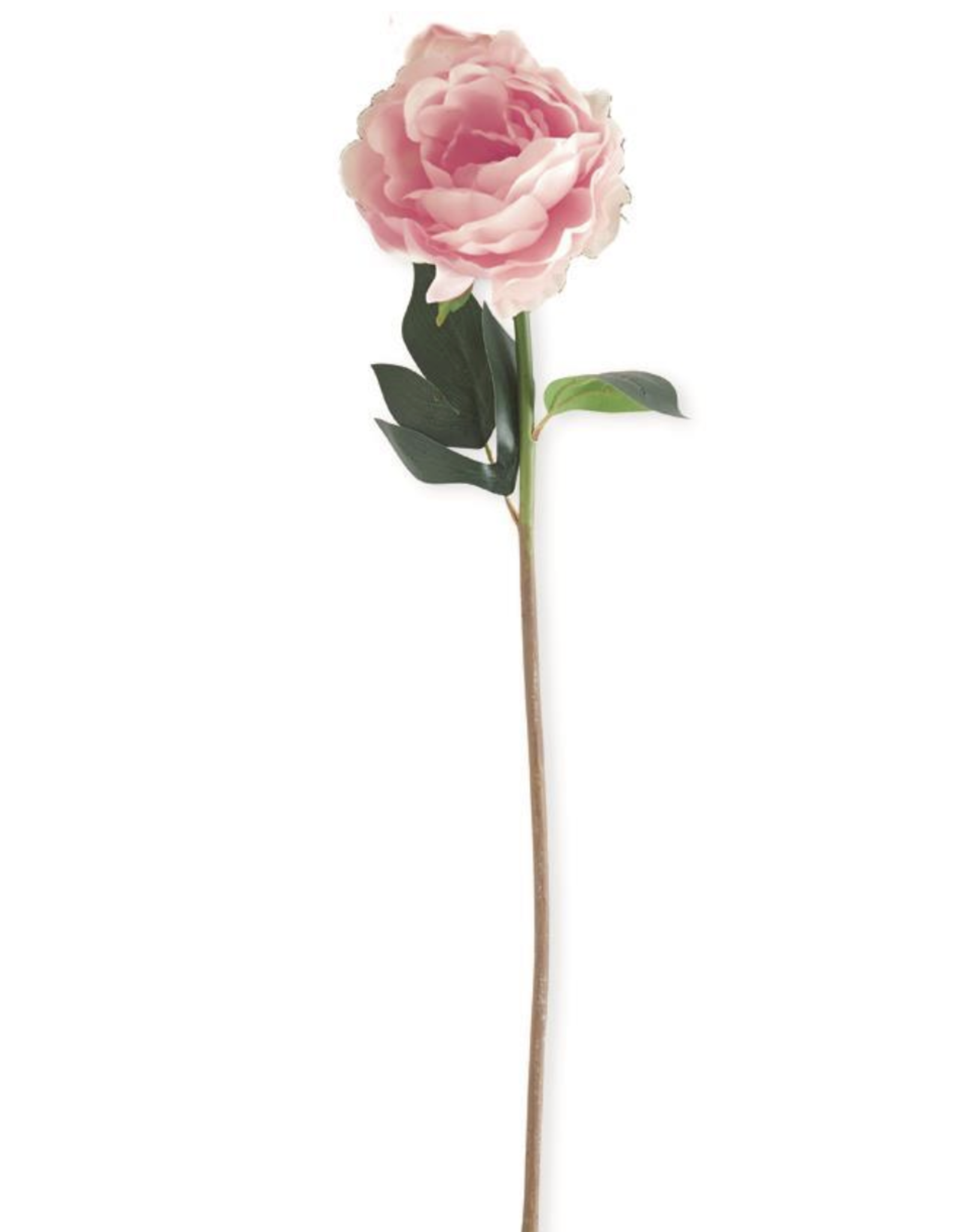 K & K Real Touch Peony Stem