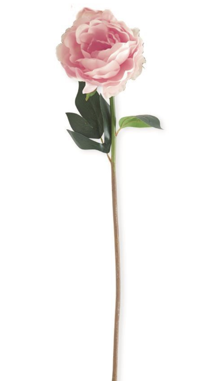 Real Touch Peony Stem The Good Tree