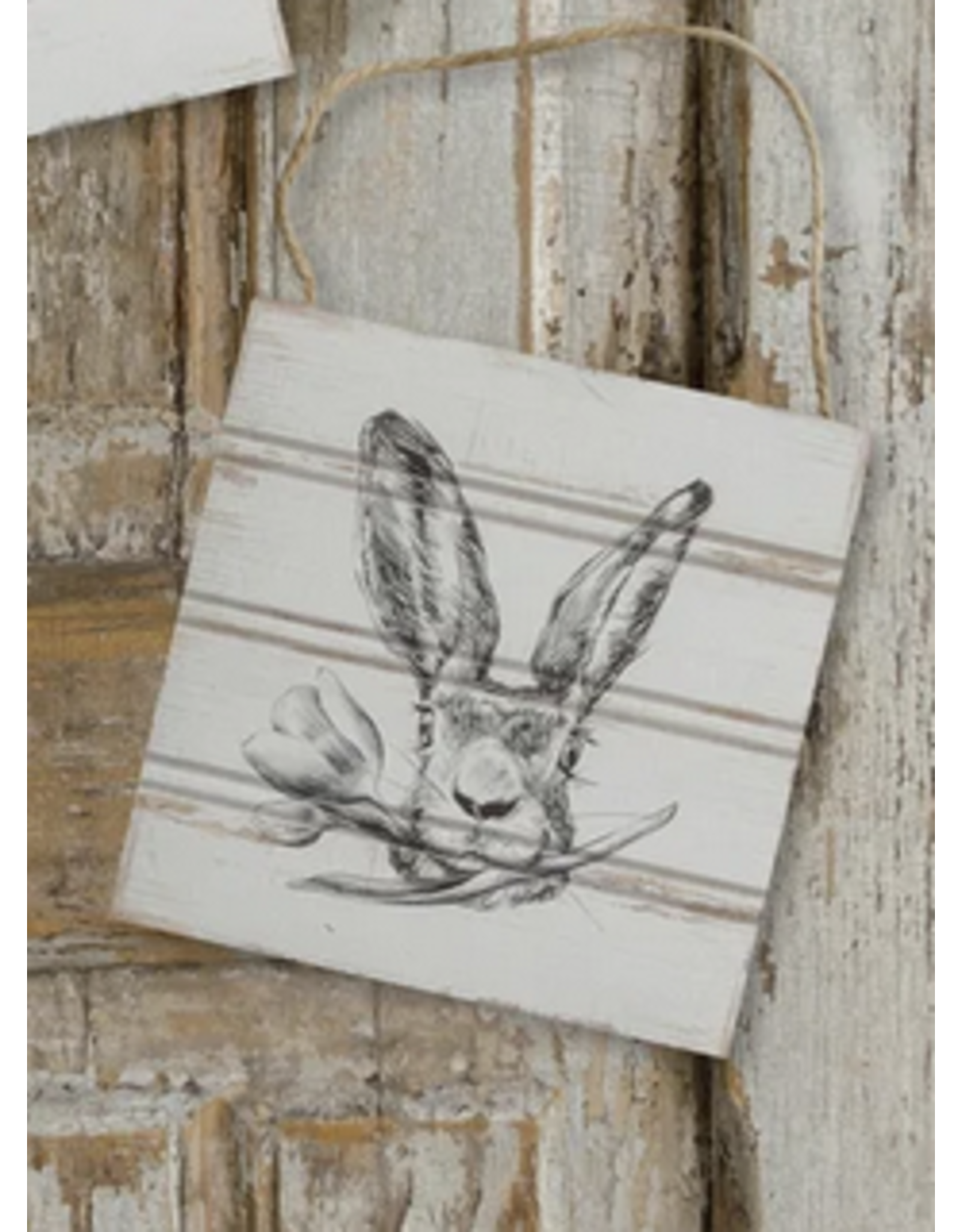 audreys Mini Bunny Signs