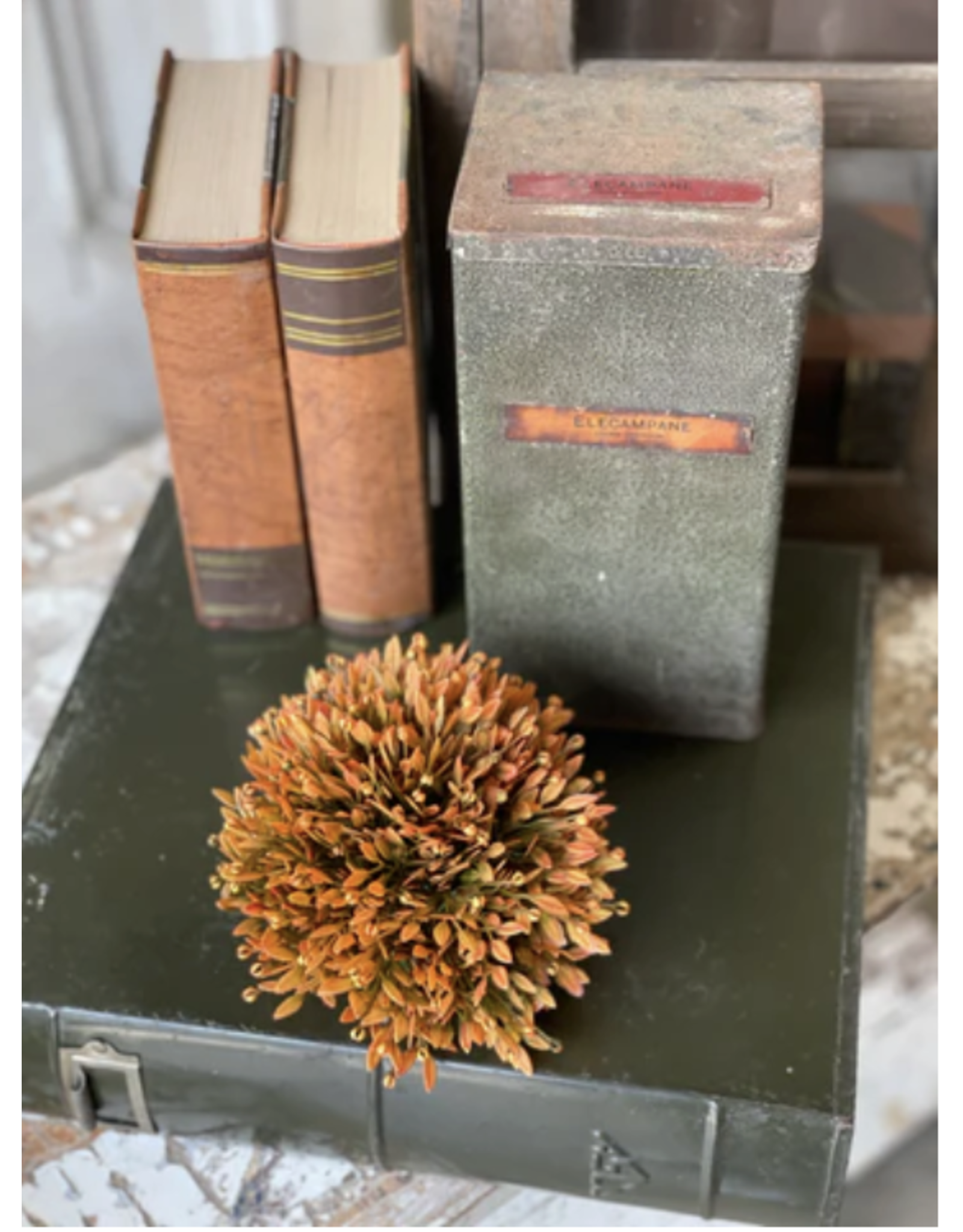 Lancaster & Vintage Blazing Seed Head Half Sphere
