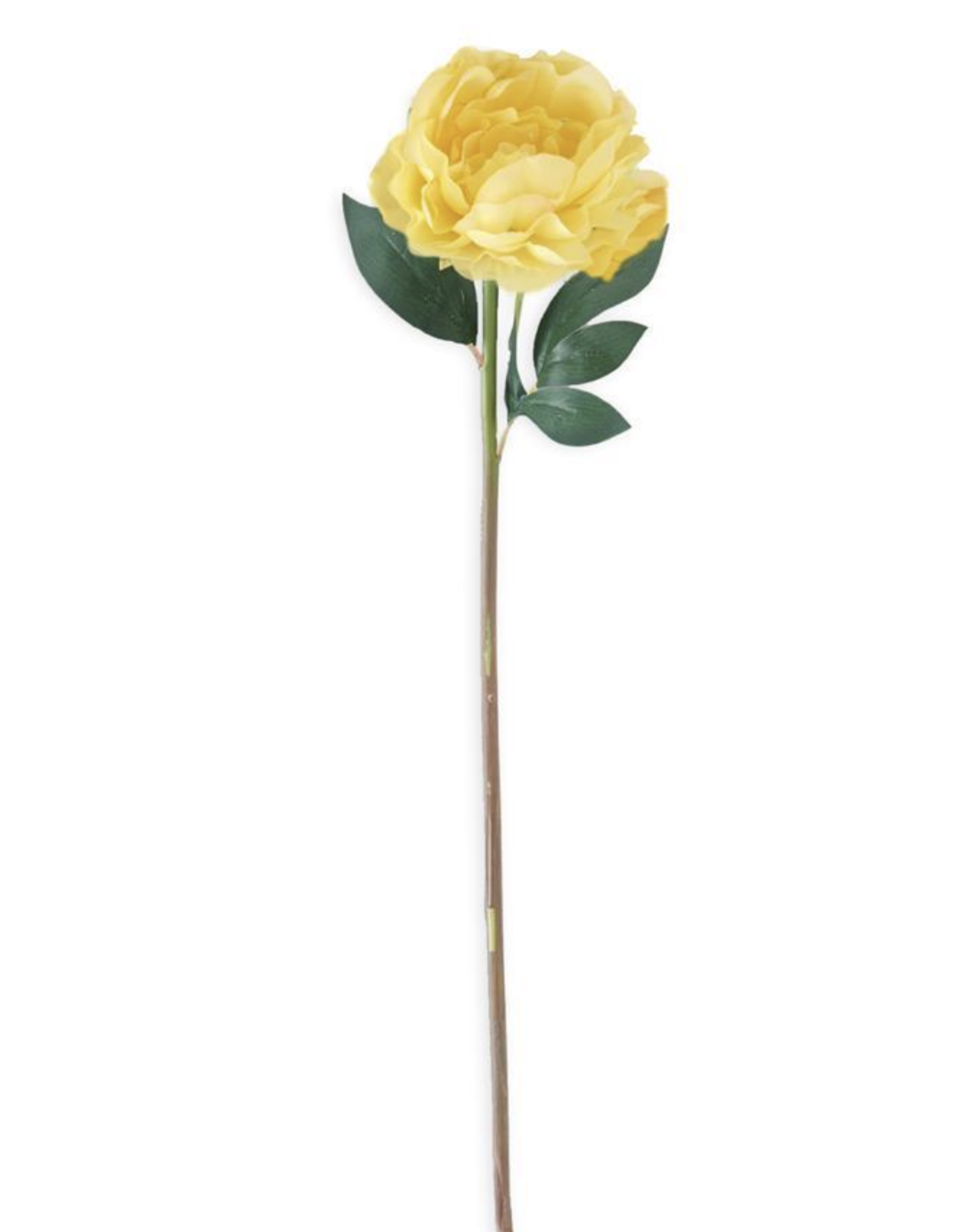 K & K Real Touch Peony Stem