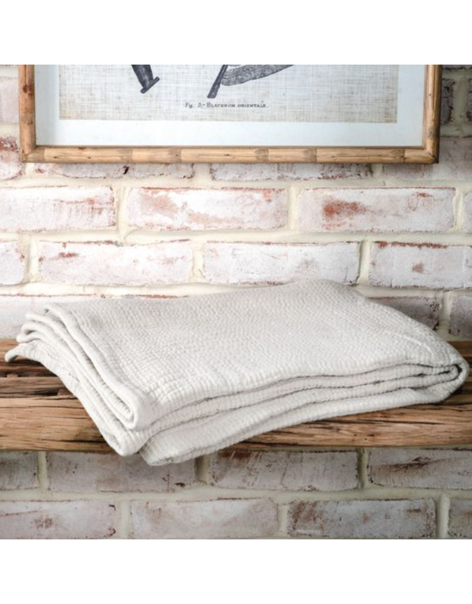 PD Home & Garden 50x60 Feather Grey Cotton Throw