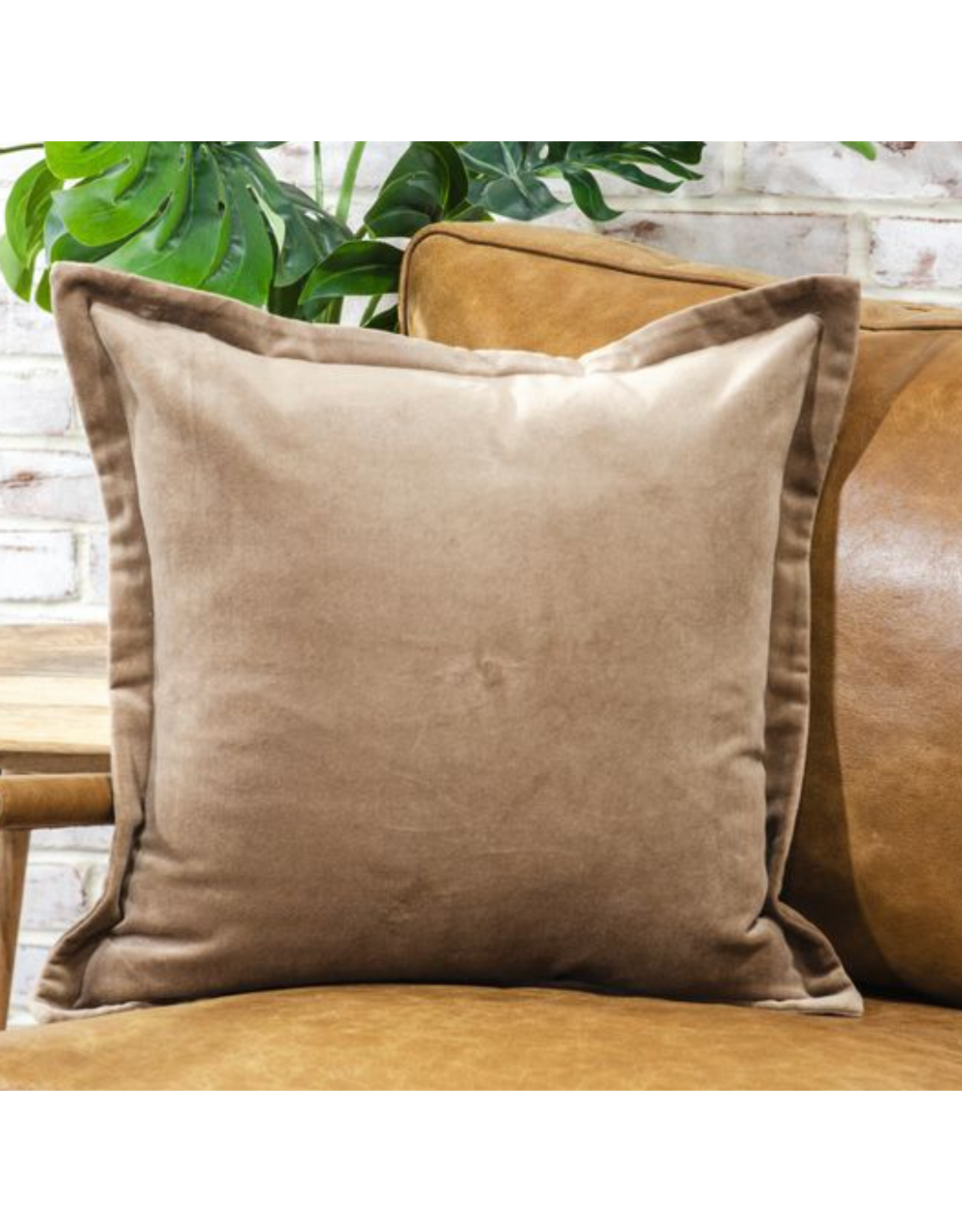 PD Home & Garden 18x18 Solid Velvet Pillow